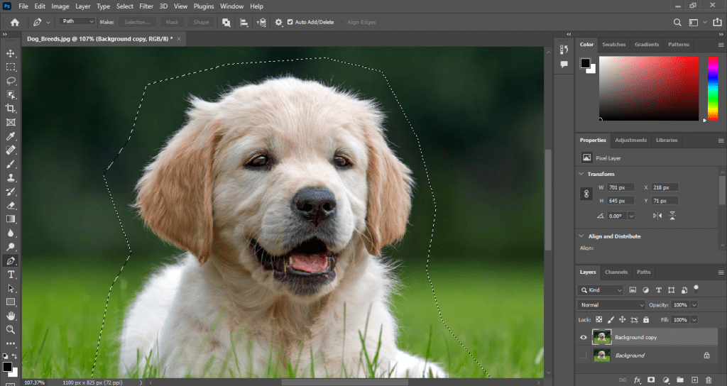 Adobe Photoshop user interface